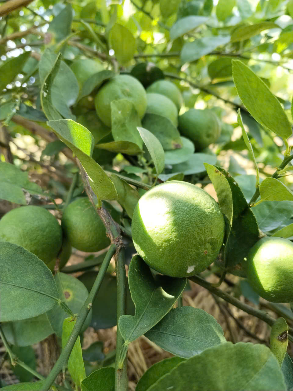 z7760519104952 1cad5ab9e6f6dd6ae9c5650f686db277